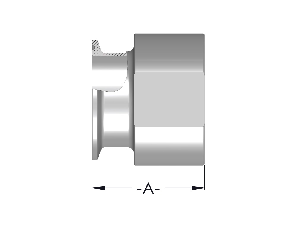 Adaptor - Clamp to Female NPT - With Wrench Flats